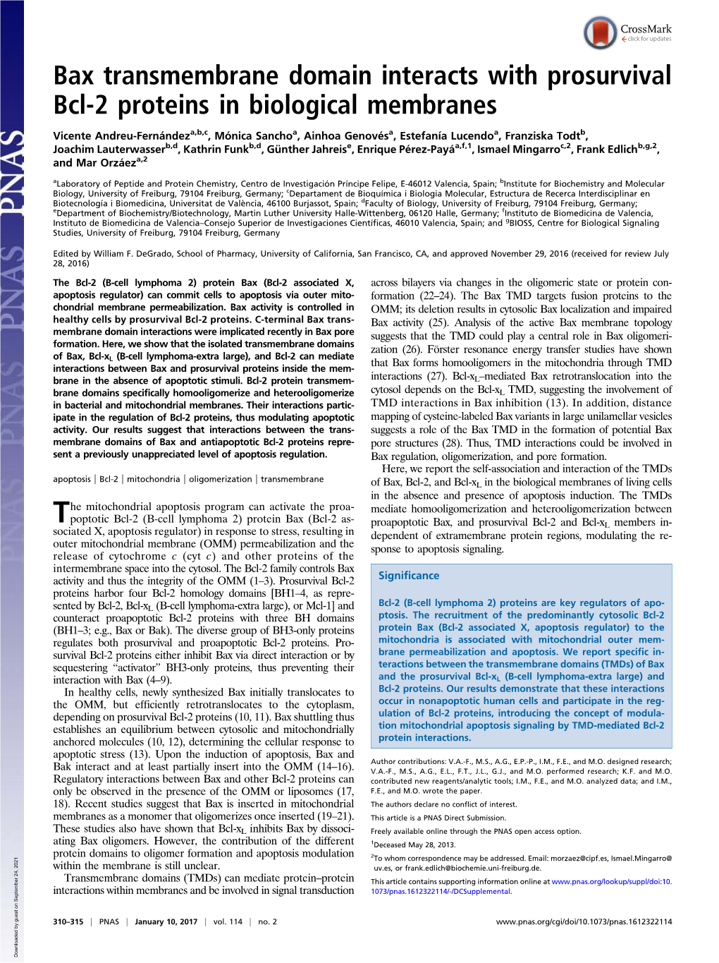 Bax Transmembrane Domain Interacts with Prosurvival Bcl-2 Proteins in Biological Membranes