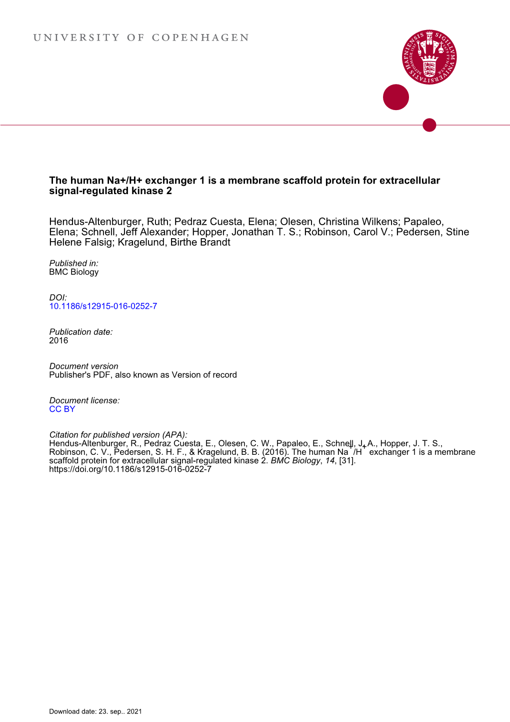 The Human Na+/H+ Exchanger 1 Is a Membrane Scaffold Protein for Extracellular Signal-Regulated Kinase 2