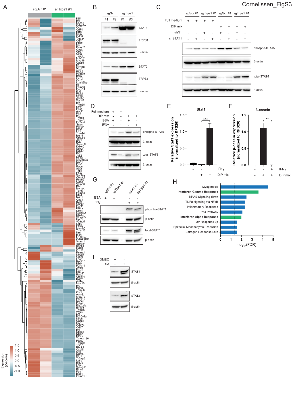 Suppl Fig 3 Revised2