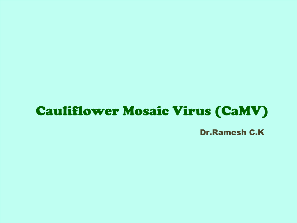 Cauliflower Mosaic Virus (Camv)