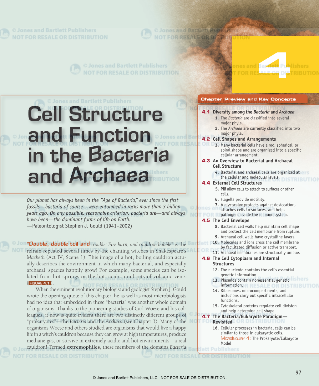 Cell Structure and Function in the Bacteria and Archaea