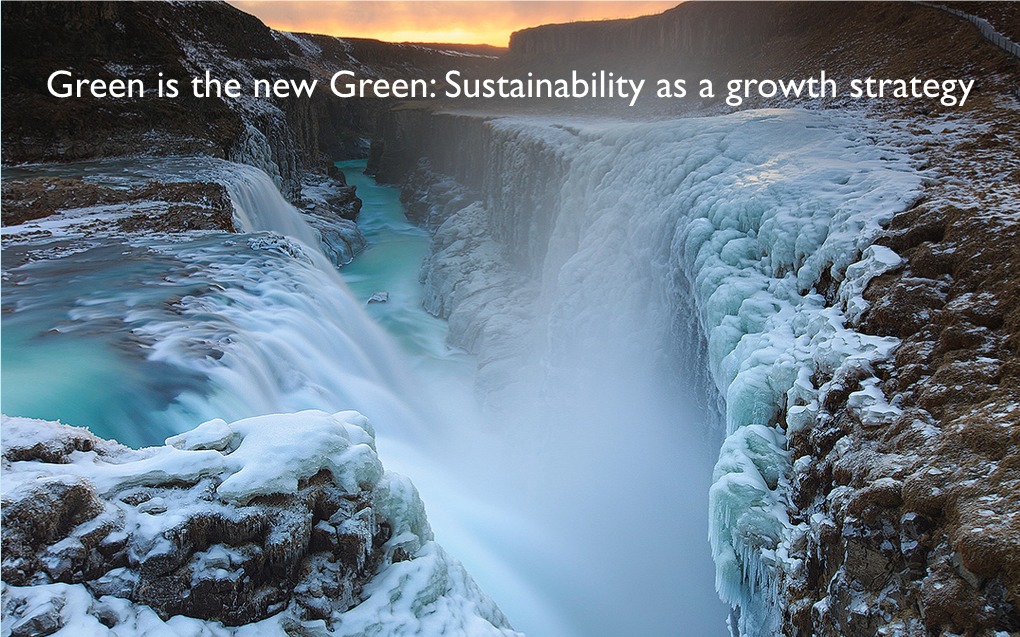 Sustainability As a Growth Strategy Eiríkur S