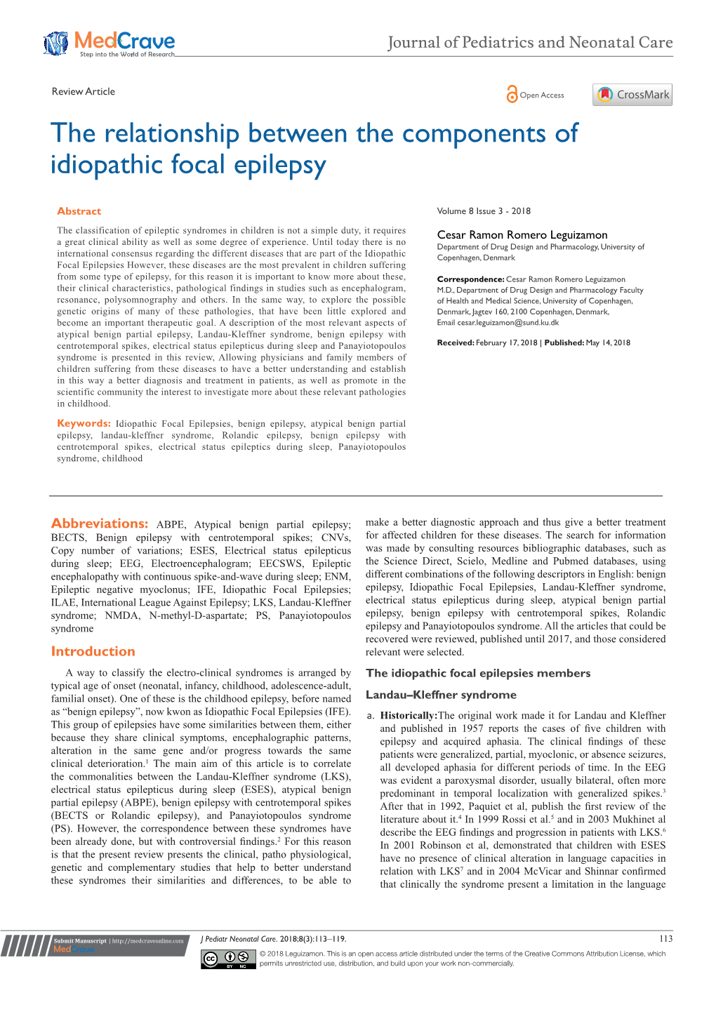 The Relationship Between the Components of Idiopathic Focal Epilepsy