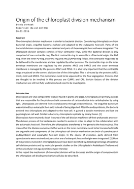 Origin of the Chloroplast Division Mechanism by Iris Verhoek Supervisor: Ida Van Der Klei 06-01-2016