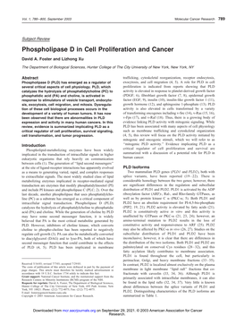 Phospholipase D in Cell Proliferation and Cancer