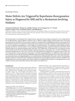Motor Deficits Are Triggered by Reperfusion-Reoxygenation Injury As Diagnosed by MRI and by a Mechanism Involving Oxidants