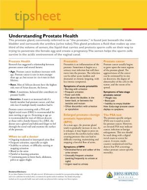 Understanding Prostate Health