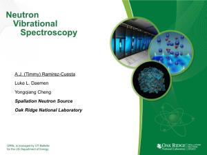 Neutron Vibrational Spectroscopy