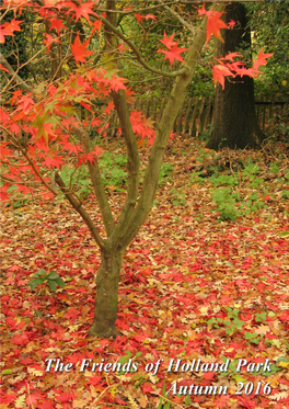 The Friends of Holland Park Autumn 2016 Sunday, 4 December, at 7.30Pm in the Orangery