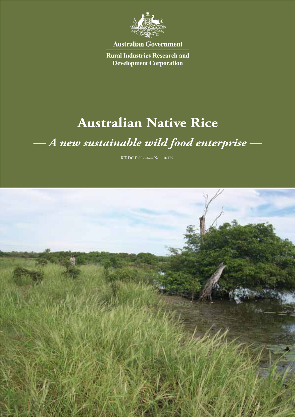 Australian Native Rice — a New Sustainable Wild Food Enterprise —