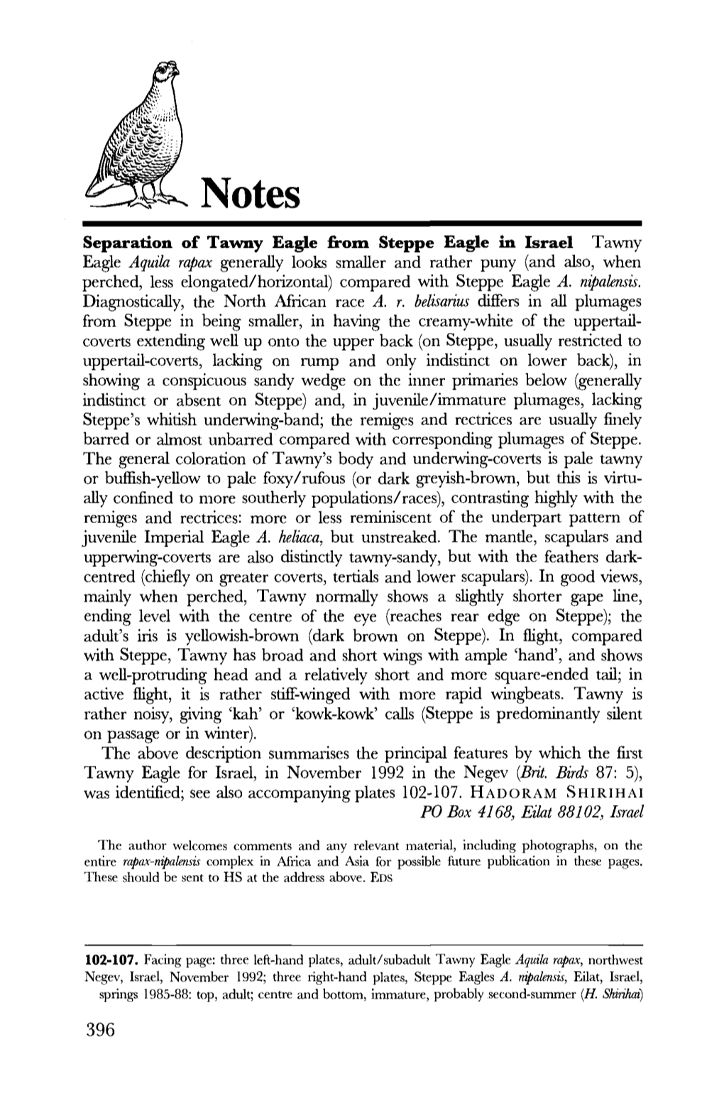 Separation of Tawny Eagle from Steppe Eagle In