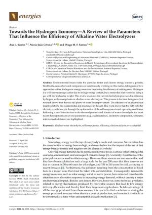 Towards the Hydrogen Economy—A Review of the Parameters That Inﬂuence the Efﬁciency of Alkaline Water Electrolyzers