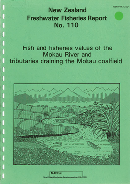 Mokau River and Tributaries Draining the Mokau Coalfield