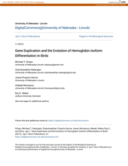 Gene Duplication and the Evolution of Hemoglobin Isoform Differentiation in Birds