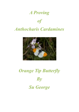 A Proving of Anthocharis Cardamines Orange Tip Butterfly by Su George