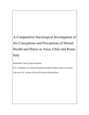 A Comparative Sociological Investigation of the Conceptions and Perceptions of Mental Health and Illness in Arica, Chile and Rome, Italy