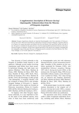 A Supplementary Description of Brisaster Iheringi (Spatangoida: Schizasteridae) from the Miocene of Patagonia Argentina