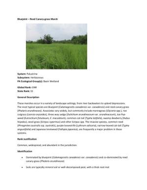 Reed Canary-Grass Marsh System