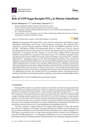 Role of UDP-Sugar Receptor P2Y14 in Murine Osteoblasts