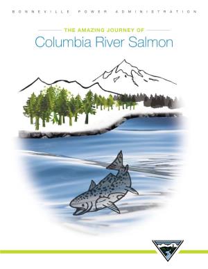 The Amazing Journey of Columbia River Salmon the Columbia River Basin