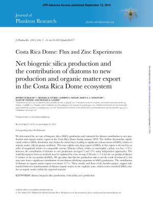 Net Biogenic Silica Production and the Contribution of Diatoms to New