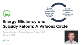 Energy Efficiency and Subsidy Reform: a Virtuous Circle