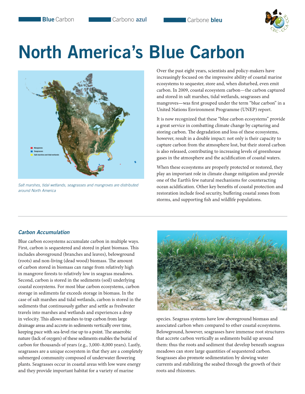 North America's Blue Carbon