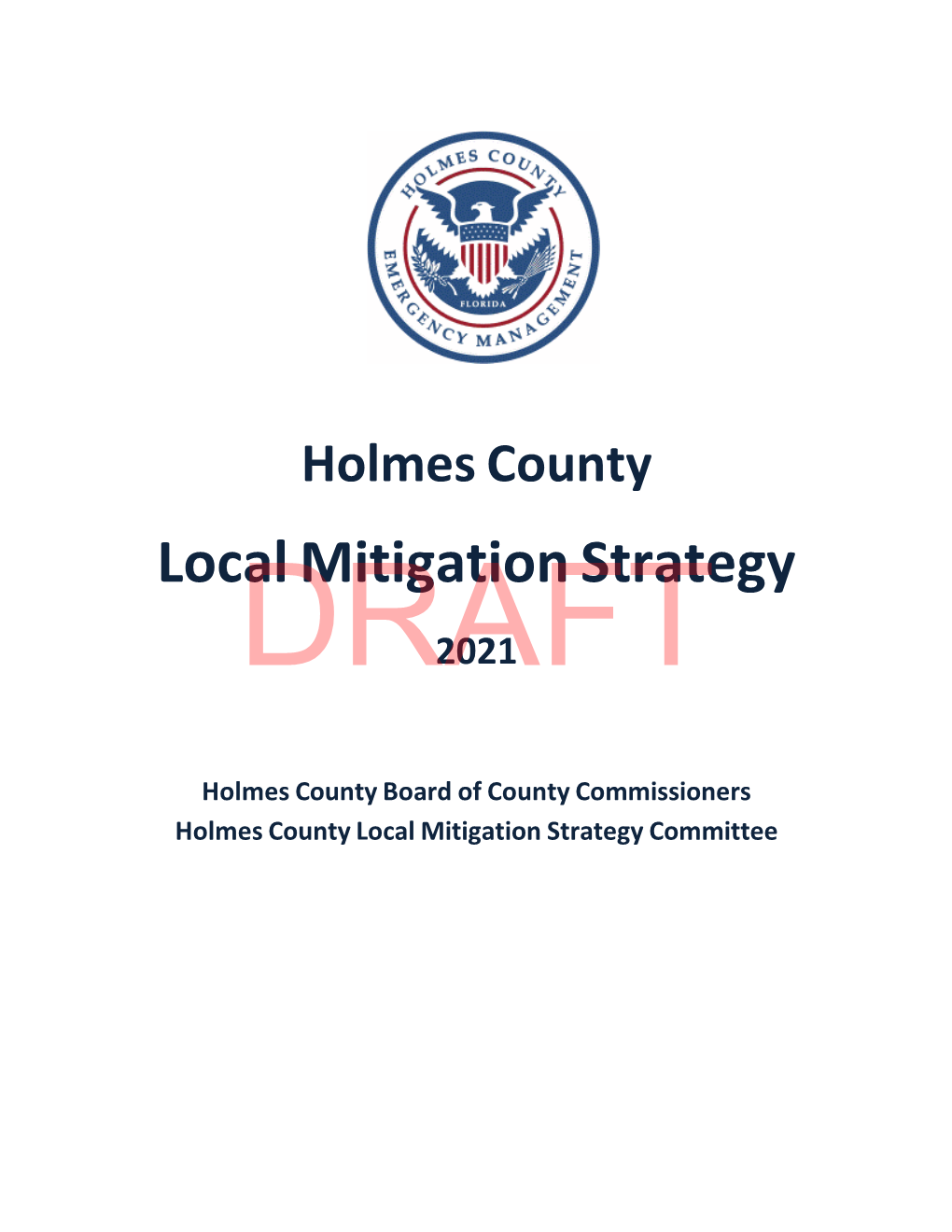 Local Mitigation Strategy DRAFT2021