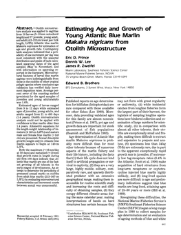 Estimating Age and Growth of Young Atlantic Blue Marlin Makaira Nigricans from Otolith Microstructure
