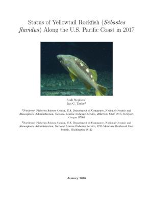 Status of Yellowtail Rockfish (Sebastes Flavidus) Along the U.S