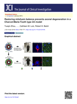 Restoring Mitofusin Balance Prevents Axonal Degeneration in a Charcot-Marie-Tooth Type 2A Model