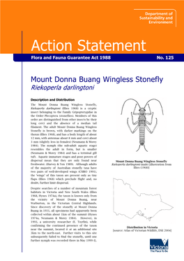 Mt Donna Buang Wingless Stonefly