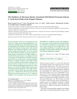 The Incidence of Alternaria Species Associated with Infected Sesamum Indicum L