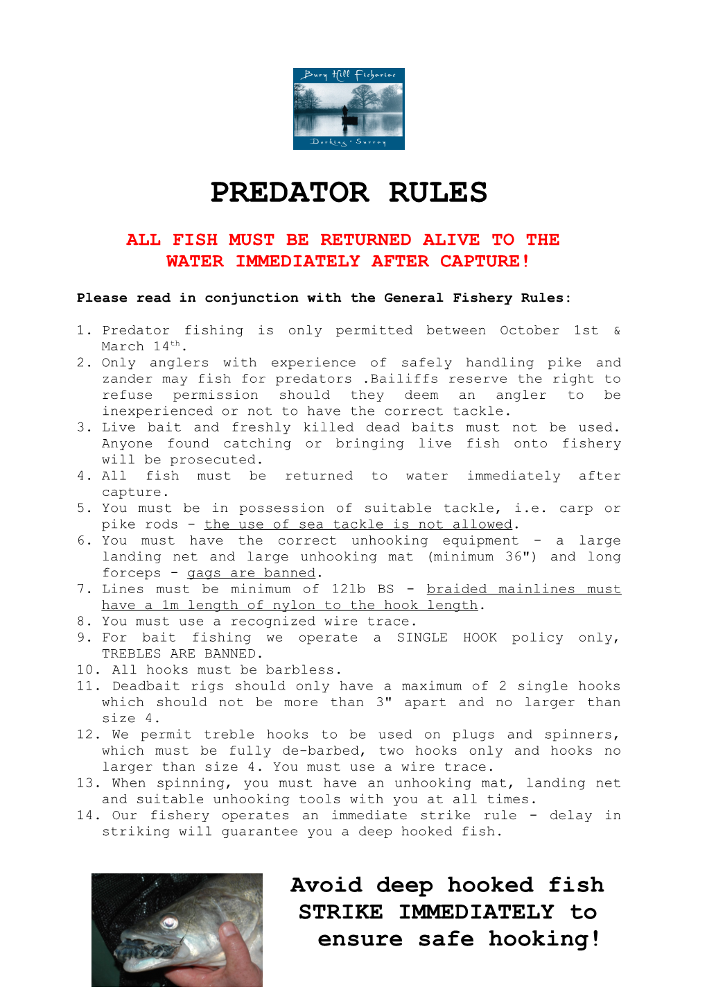 Predator Rules Rules