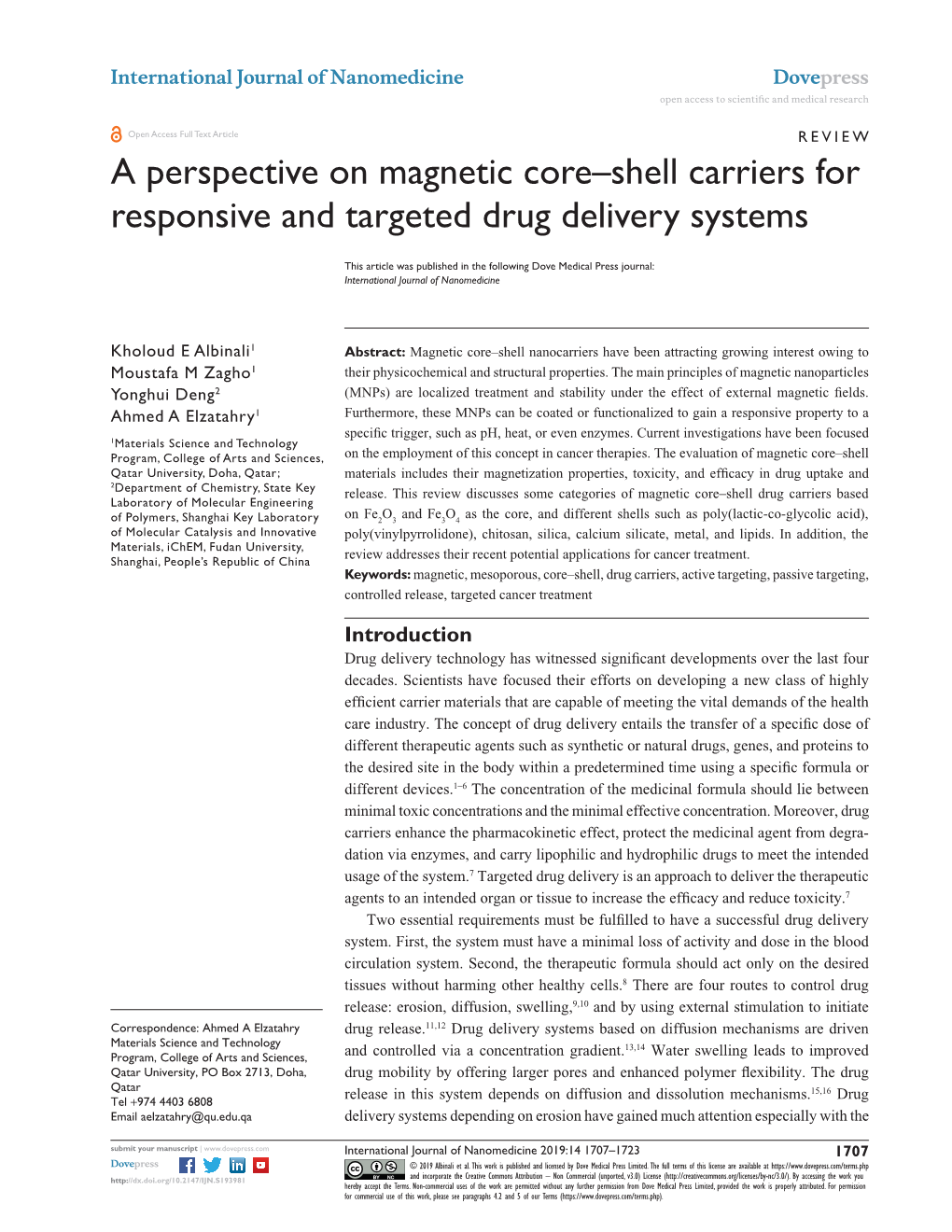 A Perspective on Magnetic Core–Shell Carriers for Responsive and Targeted Drug Delivery Systems