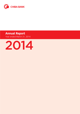 Annual Annual Report
