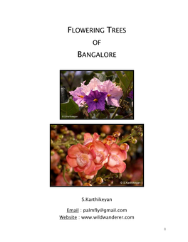 Flowering Trees of Bangalore by S. Karthikeyan