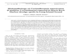 Histopathology of Ceriantheopsis Americanus (Cnidaria: Ceriantharia) Exposed to Black Rock Harbor Dredge Spoils in Long Island Sound