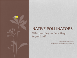 NATIVE POLLINATORS Who Are They and Are They Important?