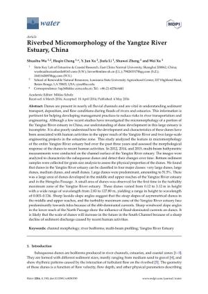 Riverbed Micromorphology of the Yangtze River Estuary, China