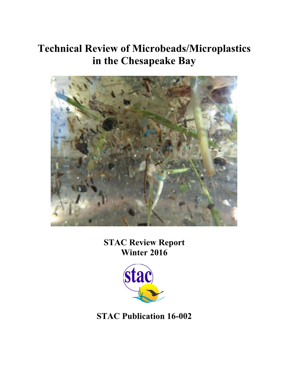 Technical Review of Microbeads/Microplastics in the Chesapeake Bay