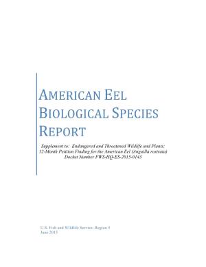 American Eel Biological Species Report