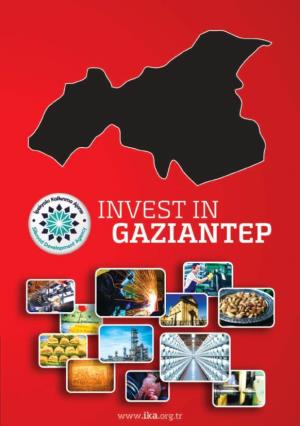 Invest in Gaziantep Invest in Gaziantep Invest in Gaziantep Invest in Gaziantep