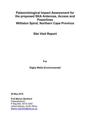 Palaeontological Impact Assessment for the Proposed SKA Antennas, Access and Powerlines Williston Spiral, Northern Cape Province