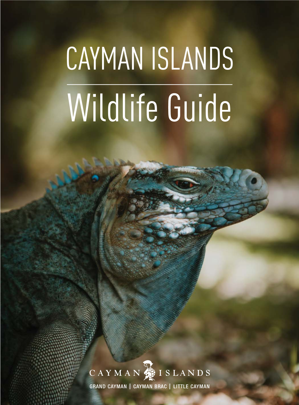 Cayman Wildlife Brochure FINAL4.Indd