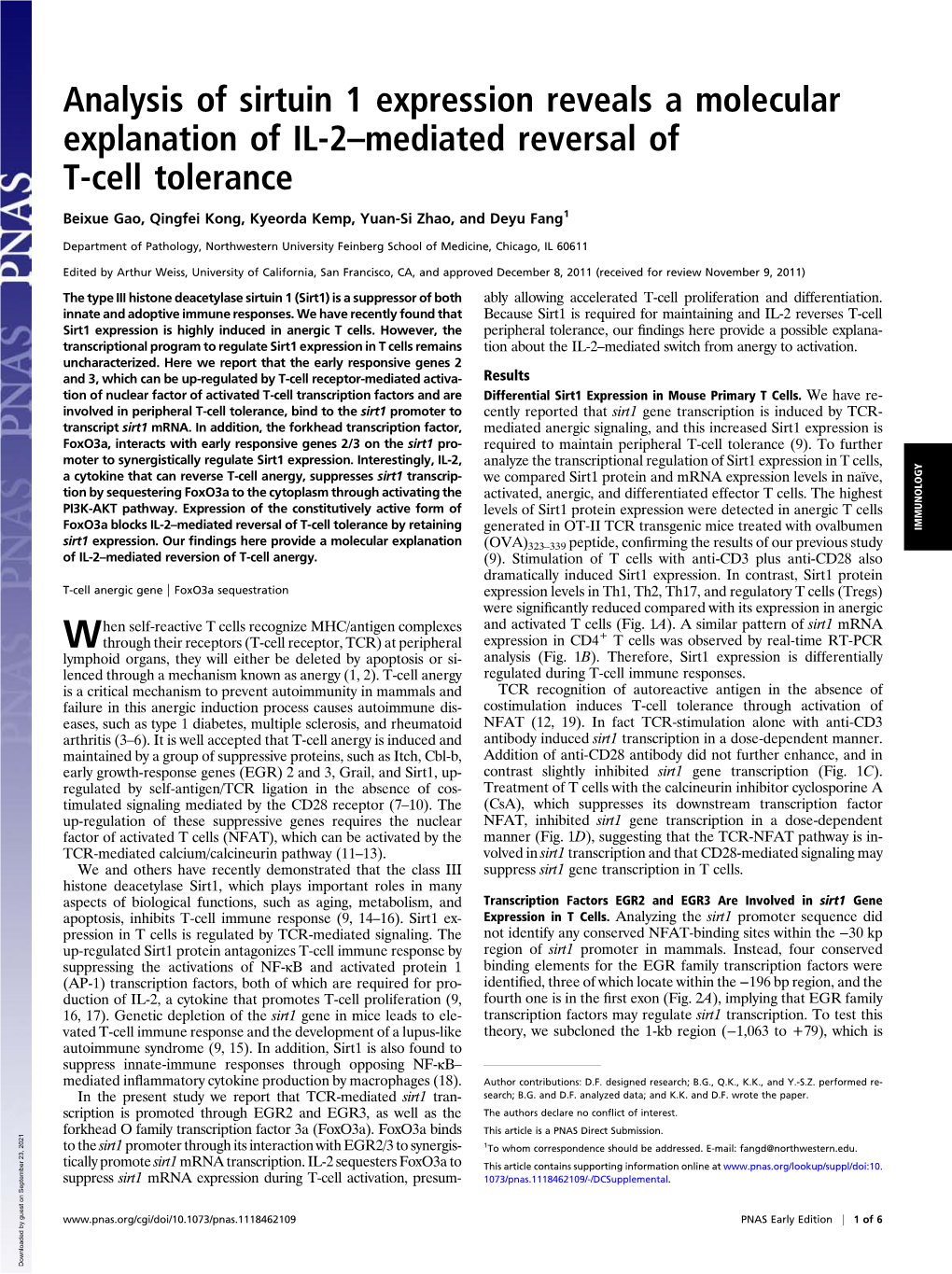 Analysis of Sirtuin 1 Expression Reveals a Molecular Explanation of IL-2–Mediated Reversal of T-Cell Tolerance