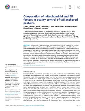 Cooperation of Mitochondrial and ER Factors in Quality Control of Tail
