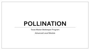 Texas Master Beekeeper Program Advanced Level Module What Is Pollen?