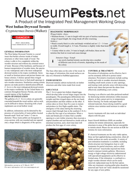 West Indian Drywood Termite
