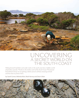 Uncovering a Secret World on the South Coast